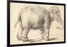 An Elephant, 1637-Rembrandt Harmensz. van Rijn-Framed Giclee Print