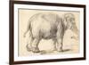 An Elephant, 1637-Rembrandt Harmensz. van Rijn-Framed Giclee Print