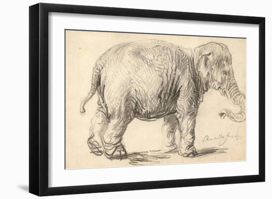 An Elephant, 1637-Rembrandt Harmensz. van Rijn-Framed Giclee Print