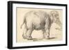 An Elephant, 1637-Rembrandt Harmensz. van Rijn-Framed Giclee Print