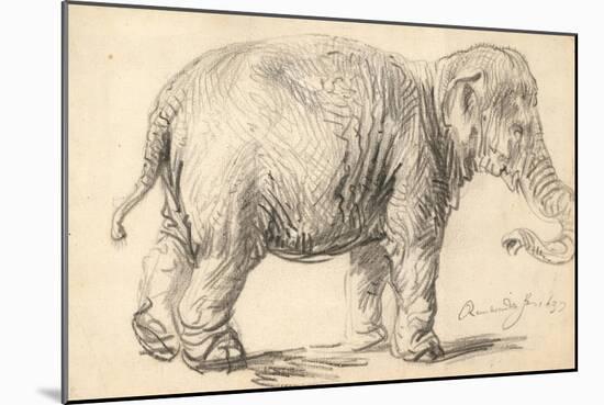An Elephant, 1637-Rembrandt Harmensz. van Rijn-Mounted Giclee Print