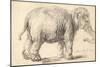 An Elephant, 1637-Rembrandt Harmensz. van Rijn-Mounted Giclee Print