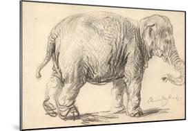 An Elephant, 1637-Rembrandt Harmensz. van Rijn-Mounted Giclee Print