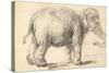 An Elephant, 1637-Rembrandt Harmensz. van Rijn-Stretched Canvas