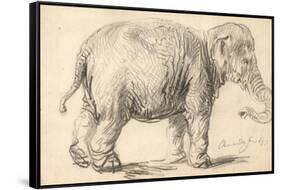 An Elephant, 1637-Rembrandt Harmensz. van Rijn-Framed Stretched Canvas