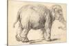 An Elephant, 1637-Rembrandt Harmensz. van Rijn-Stretched Canvas