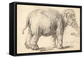 An Elephant, 1637-Rembrandt Harmensz. van Rijn-Framed Stretched Canvas