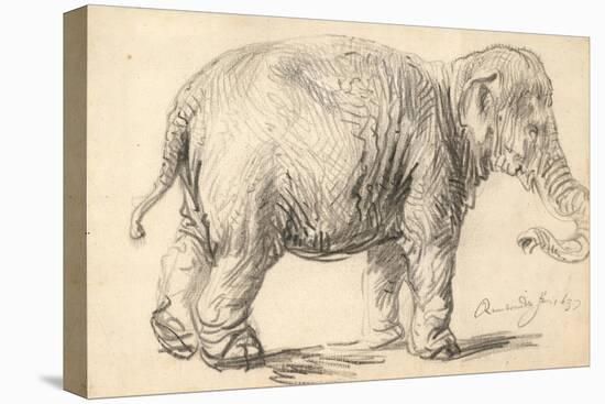 An Elephant, 1637-Rembrandt Harmensz. van Rijn-Stretched Canvas