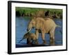 An Elephant and Her Calf Cross a River-null-Framed Photographic Print