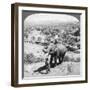 An Elephant and its Keeper, Sri Lanka, 1902-Underwood & Underwood-Framed Giclee Print