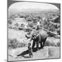 An Elephant and its Keeper, Sri Lanka, 1902-Underwood & Underwood-Mounted Giclee Print