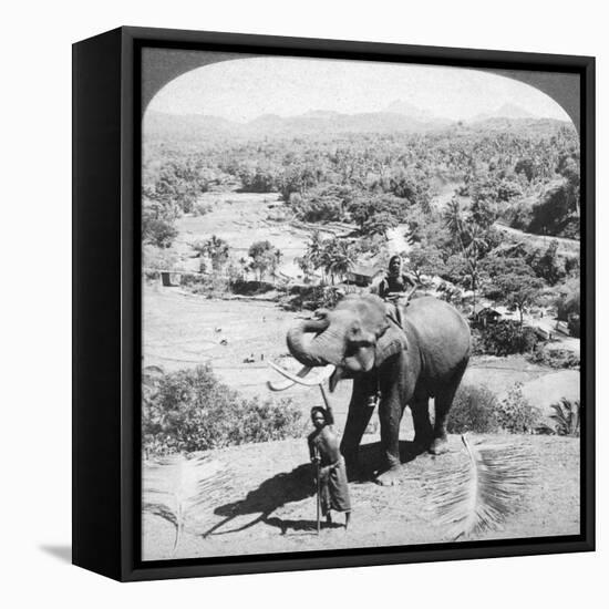 An Elephant and its Keeper, Sri Lanka, 1902-Underwood & Underwood-Framed Stretched Canvas