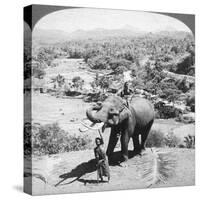 An Elephant and its Keeper, Sri Lanka, 1902-Underwood & Underwood-Stretched Canvas
