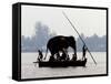 An Elephant is Taken on a Small Boat to a Temple Festival-null-Framed Stretched Canvas