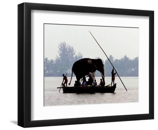 Premium Photographic Print, , large