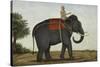 An Elephant Keeper Riding His Elephant-null-Stretched Canvas