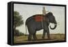 An Elephant Keeper Riding His Elephant-null-Framed Stretched Canvas