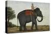 An Elephant Keeper Riding His Elephant-null-Stretched Canvas