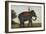 An Elephant Keeper Riding His Elephant-null-Framed Giclee Print