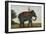 An Elephant Keeper Riding His Elephant-null-Framed Giclee Print