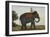 An Elephant Keeper Riding His Elephant-null-Framed Giclee Print