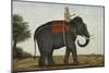 An Elephant Keeper Riding His Elephant-null-Mounted Giclee Print