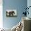 An Elephant Keeper Riding His Elephant-null-Giclee Print displayed on a wall