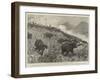 An Elephant Kraal Arranged for the Czarewitch, Near Colombo, Ceylon-null-Framed Giclee Print