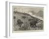 An Elephant Kraal Arranged for the Czarewitch, Near Colombo, Ceylon-null-Framed Giclee Print