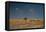 An Elephant, Loxodonta Africana, and Zebras in Grassland at Sunset-Alex Saberi-Framed Stretched Canvas