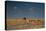 An Elephant, Loxodonta Africana, and Zebras in Grassland at Sunset-Alex Saberi-Stretched Canvas