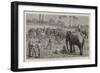 An Elephant Pooay in Upper Burma-Harry Hamilton Johnston-Framed Giclee Print