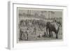 An Elephant Pooay in Upper Burma-Harry Hamilton Johnston-Framed Giclee Print