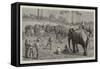 An Elephant Pooay in Upper Burma-Harry Hamilton Johnston-Framed Stretched Canvas