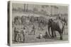 An Elephant Pooay in Upper Burma-Harry Hamilton Johnston-Stretched Canvas