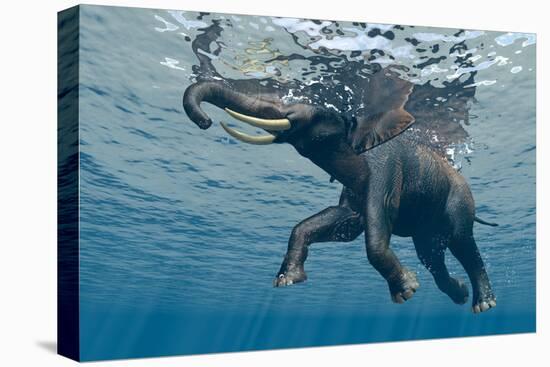 An Elephant Swims Through The Water-1971yes-Stretched Canvas