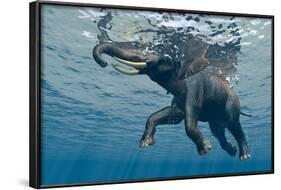 An Elephant Swims Through The Water-1971yes-Framed Photographic Print