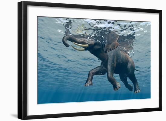 An Elephant Swims Through The Water-1971yes-Framed Photographic Print