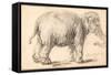 An Elephant-Rembrandt van Rijn-Framed Stretched Canvas