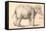 An Elephant-Rembrandt van Rijn-Framed Stretched Canvas