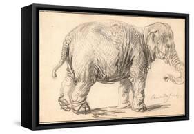 An Elephant-Rembrandt van Rijn-Framed Stretched Canvas