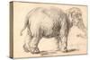 An Elephant-Rembrandt van Rijn-Stretched Canvas