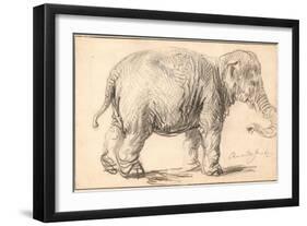 An Elephant-Rembrandt van Rijn-Framed Giclee Print