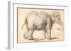 An Elephant-Rembrandt van Rijn-Framed Giclee Print