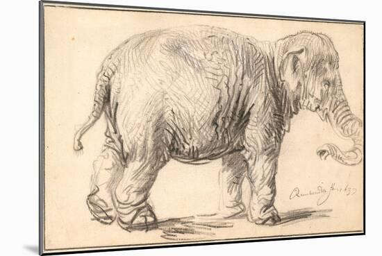 An Elephant-Rembrandt van Rijn-Mounted Giclee Print