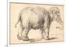 An Elephant-Rembrandt van Rijn-Framed Giclee Print