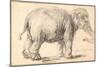 An Elephant-Rembrandt van Rijn-Mounted Giclee Print