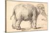 An Elephant-Rembrandt van Rijn-Stretched Canvas