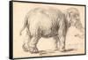 An Elephant-Rembrandt van Rijn-Framed Stretched Canvas