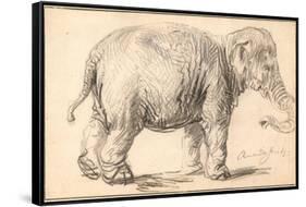 An Elephant-Rembrandt van Rijn-Framed Stretched Canvas